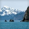 Croisières en Alaska