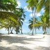 Croisières aux Caraïbes