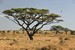 Touristic attractions of Africa