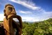 Attraits touristiques au Costa Rica